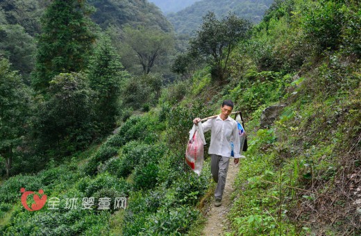 扁擔(dān)教師教書三十余年 年年挑新書走山路