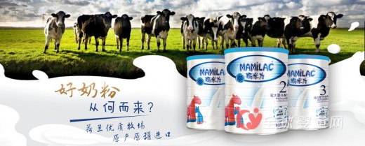 玛米力奶粉市场信誉好不好  玛米力奶粉如何代理