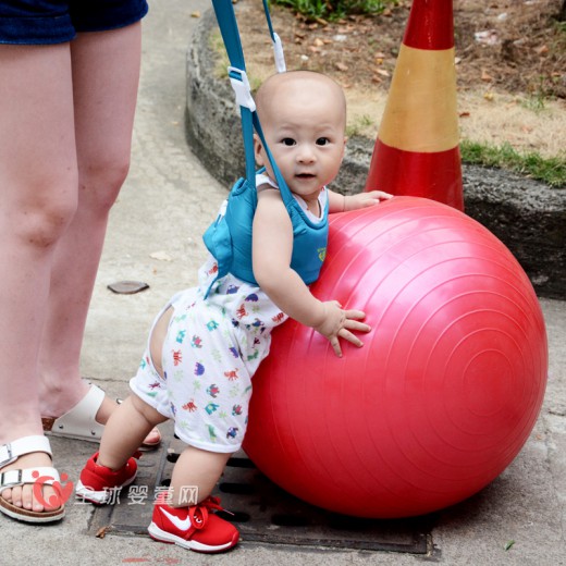 xiongbaby婴儿学步带 宝宝学步好帮手