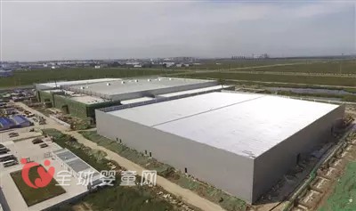 美国金佰利公司在天津建设的纸尿裤生产基地一期主体完工