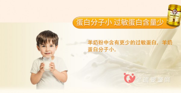 贝贝羊金装婴幼儿配方羊奶粉：成就宝宝健康