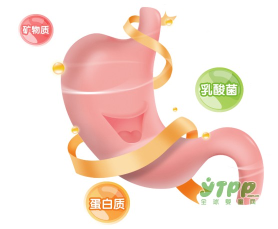 每滋益生菌米乳  腸道好吃得香  給寶寶更好營(yíng)養(yǎng)美味體驗(yàn)