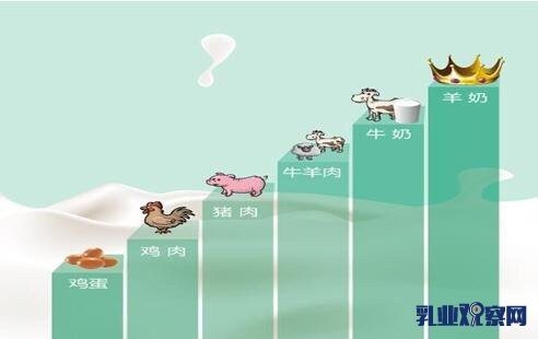 新西兰著名畜牧学专家认为：饮用山羊奶将成为未来的乳类消费趋势