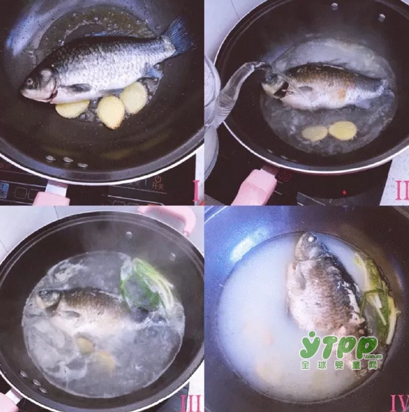 9個月以上的baby適合吃什么呢？這道鯽魚湯鮮菇燉蛋黃營養(yǎng)又美味~