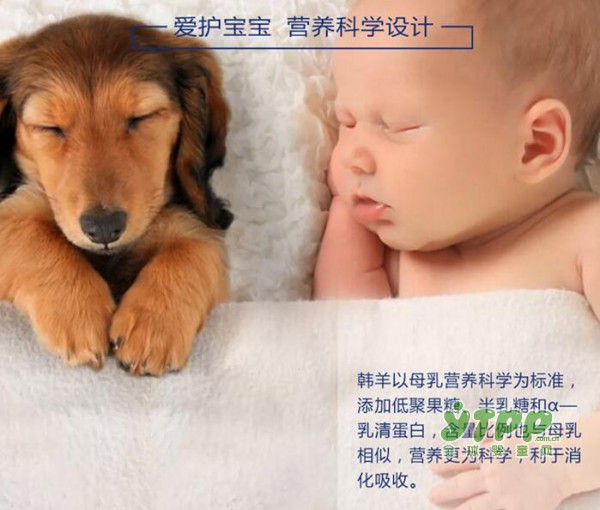 韩国进口韩羊羊奶粉营养科学设计  更爱护宝宝