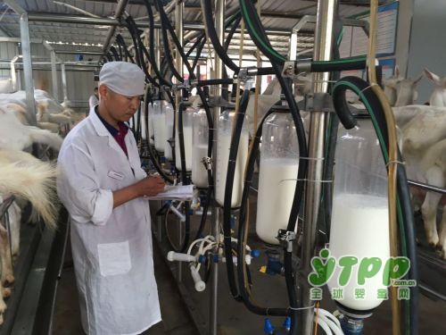 国内牛奶粉价格体系受到很大冲击  羊奶粉行业将迎来一轮爆发期