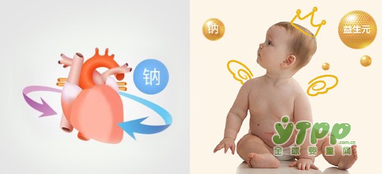贝拉米婴幼儿有机配方牛奶粉  引导宝宝养成健康的饮食习惯