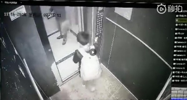 抚州一位小男孩拿雨伞卡电梯玩耍险被带飞   电梯使用安全须知