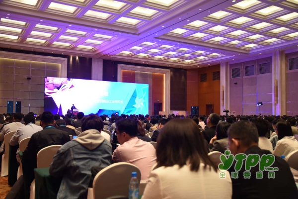 第十届中国玩具和婴童用品行业大会  高延敏司长作《创新引领玩具和婴童行业高质量发展》的讲话