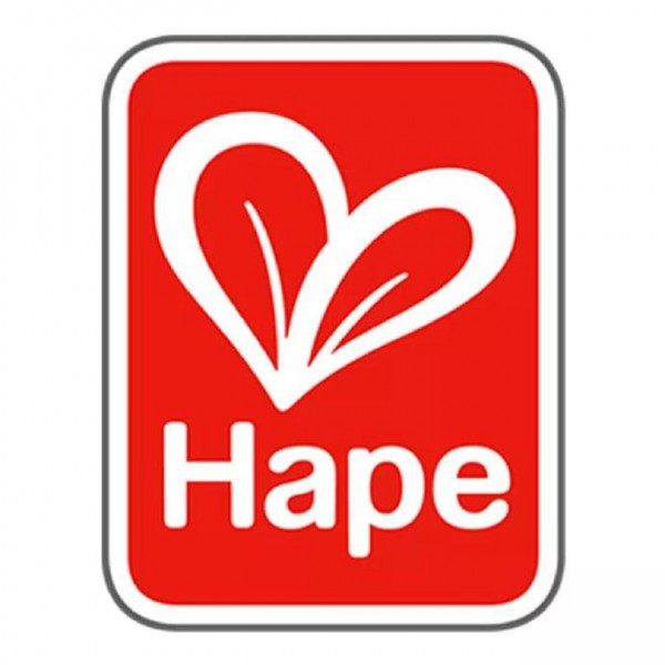 全球知名玩具品牌Hape已确认参加2019母婴媒介大会