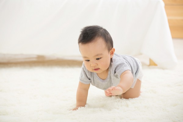 婴儿米粉你选对了吗？小毛豆蔬菜多维配方米粉 更加适合辅食期宝宝