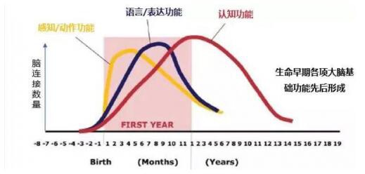 百大权威力荐：婴儿脑发育重要营养“脑磷脂群”，有助早期学习力