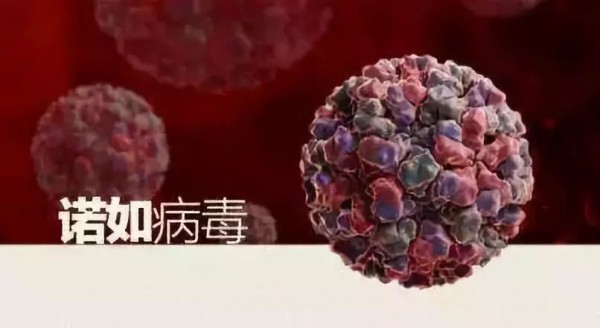 台湾缤纷童年温馨提示，诺如病毒进入高发期，这些症状要当心！