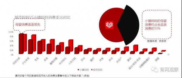 看見紙尿褲消費增長力 深度解析你所不了解的母嬰五大人群