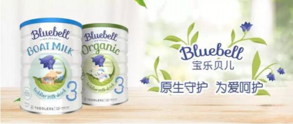 Bluebell寶樂(lè)貝兒年度盤(pán)點(diǎn)：手握兩大明星產(chǎn)品，以品質(zhì)收獲消費(fèi)者信任