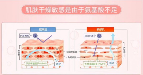 春季干燥多风用艾舒芙滋养霜 来自氨基酸的深层滋养