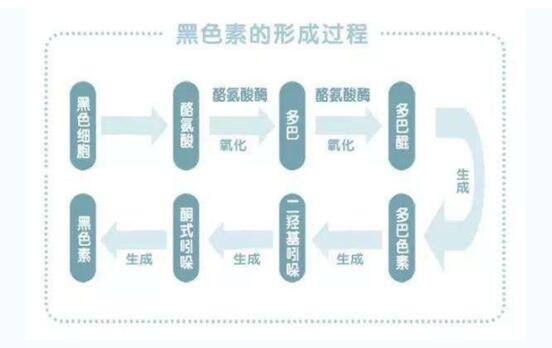 Noblemate諾培美白芙丸：天然健康飲食開(kāi)啟美白新紀(jì)元