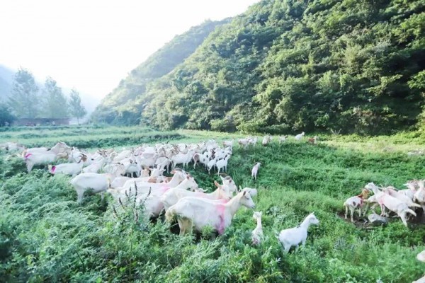 專注中國寶寶健康成長 美力源與您相約2019CBME孕嬰童展