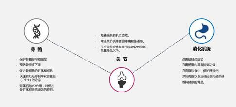 終于等到你 諾培美“鈣”世英雄震撼上市