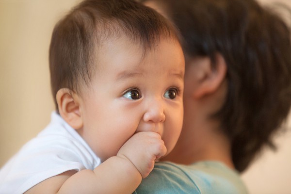 宝宝磨牙棒好选择——童乐贝磨牙棒软硬适中·营养健康 守护宝宝出牙期