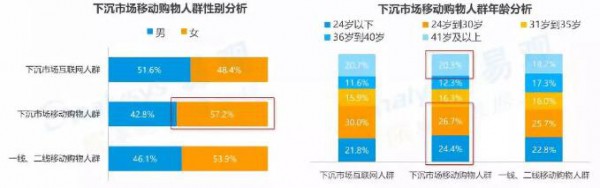 面对6亿用户的下沉市场 母婴生意并没有想象中那么简单