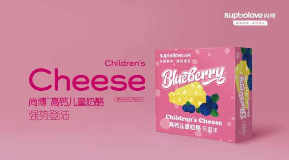 尚博高钙儿童奶酪  味道醇正·口口满足