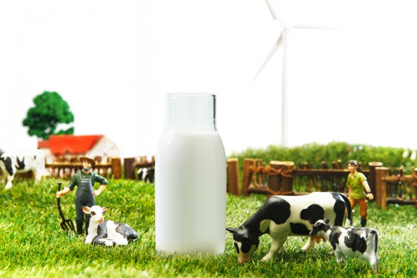 原奶需求增长，乳企“真金白银”夯实上游奶源