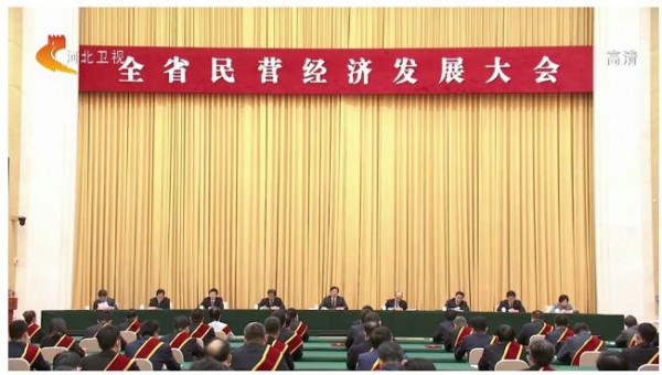 河北省民营经济发展大会   君乐宝乳业总裁魏立华接受表彰