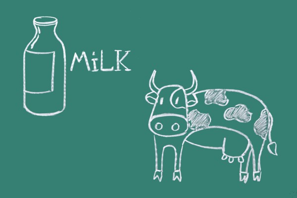 牛初乳——大自然天然的优质营养品