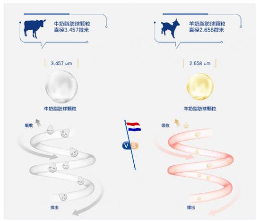 佳贝艾特羊奶粉坚守高端纯正呵护 深受广大消费者的青睐