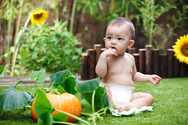 给宝宝补脑吃什么比较好？       波比兔DHA藻油饮液助宝大脑发育视力健康