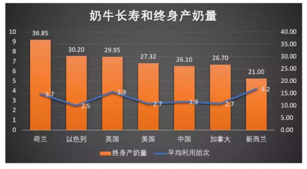 終身產(chǎn)奶量100噸的英雄奶牛母親是如何煉成的？