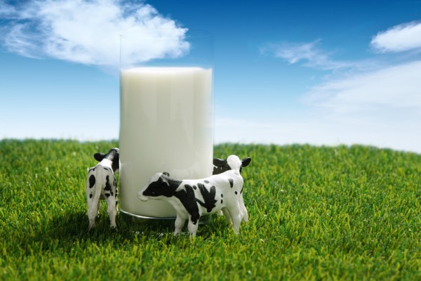 东西部科技创新协作专项支撑甘肃奶牛产业高质量发展