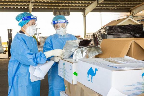 震惊！北京海关首次查获2.2万吨进口骆驼奶粉菌落超标不合格