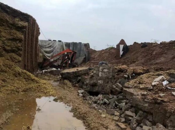 河南暴雨，奶牛场自救，但还是损失惨重