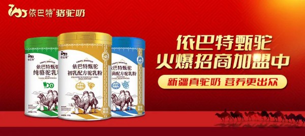 从工厂到终端,依巴特骆驼奶粉厂家开拓中国全新驼奶版图！