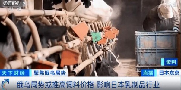 2022全球乳制品價格飆升  飼料成本、奶牛產量等影響頗深