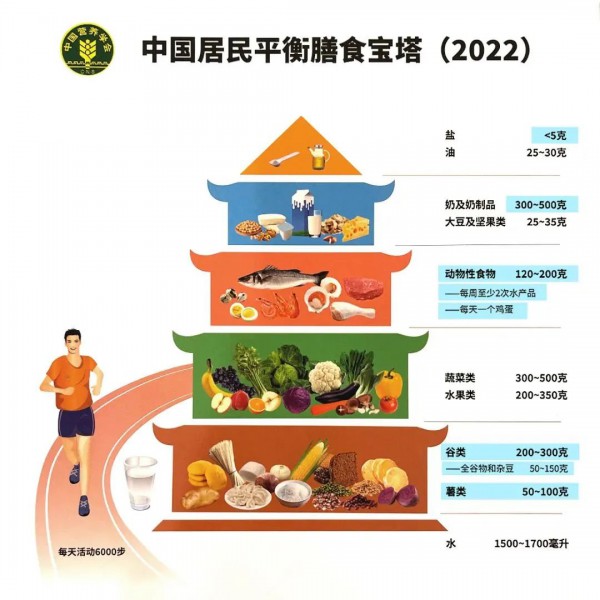 中国人的“膳食宝典”更新了！素臣大健康膳食指南教你怎么吃！！！