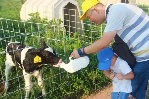 “乳业大省”河北:以种为“芯” 打造国家奶牛核心育种基地