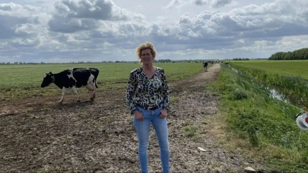 氮排放问题严重，荷兰的牛可能要被禁足！