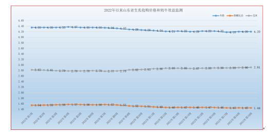 第19周山東生乳價格企穩(wěn)，奶牛養(yǎng)殖成本同比升10%以上