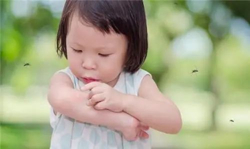 夏季蚊虫作战！宝宝被蚊子咬后如何护理？