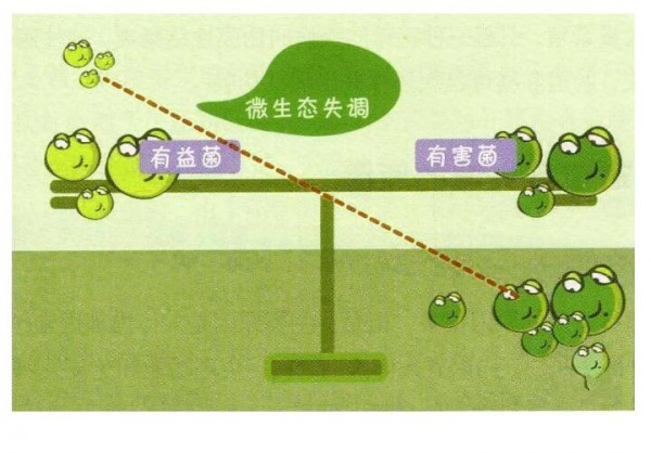 很火很火的益生菌，添加到卡洛艾特羊奶粉中到底有多神奇?