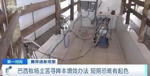 巴西牛奶价格3个月上涨20%，大批牧场关停