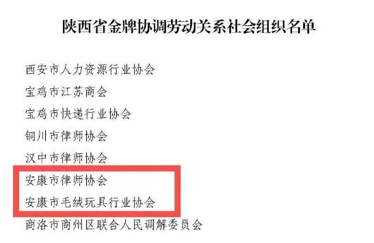 安康市毛绒玩具行业协会被认定为“陕西省金牌协调劳动关系社会组织”