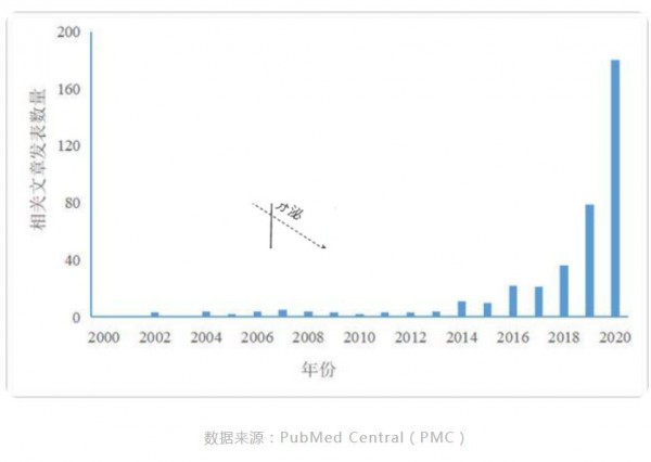 后生元正“發(fā)芽”，關(guān)注度在提升