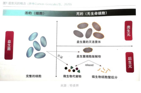 后生元正“發(fā)芽”，關(guān)注度在提升