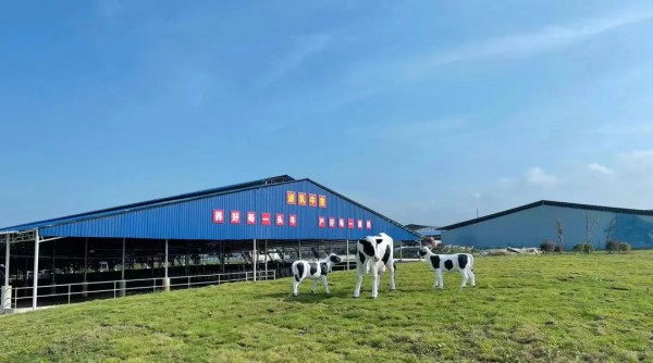 奶源建设再提速！田东县皇氏奶业示范区正式投产！