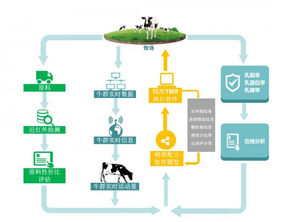 建設(shè)中國奶牛主要原料近紅外營養(yǎng)數(shù)據(jù)庫 優(yōu)然牧業(yè)核心競爭力再提升