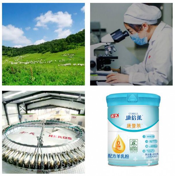 和氏瞄准大健康产业 用实力助力国内低GI羊奶粉市场发展